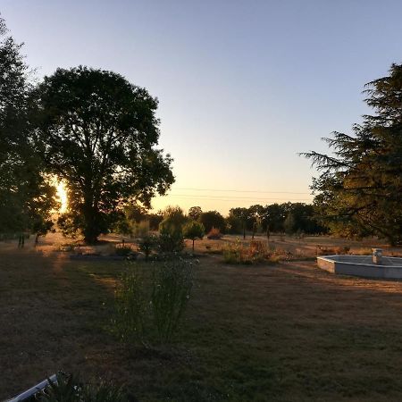 Berneuil  Le Domaine De Panissac Bed & Breakfast エクステリア 写真