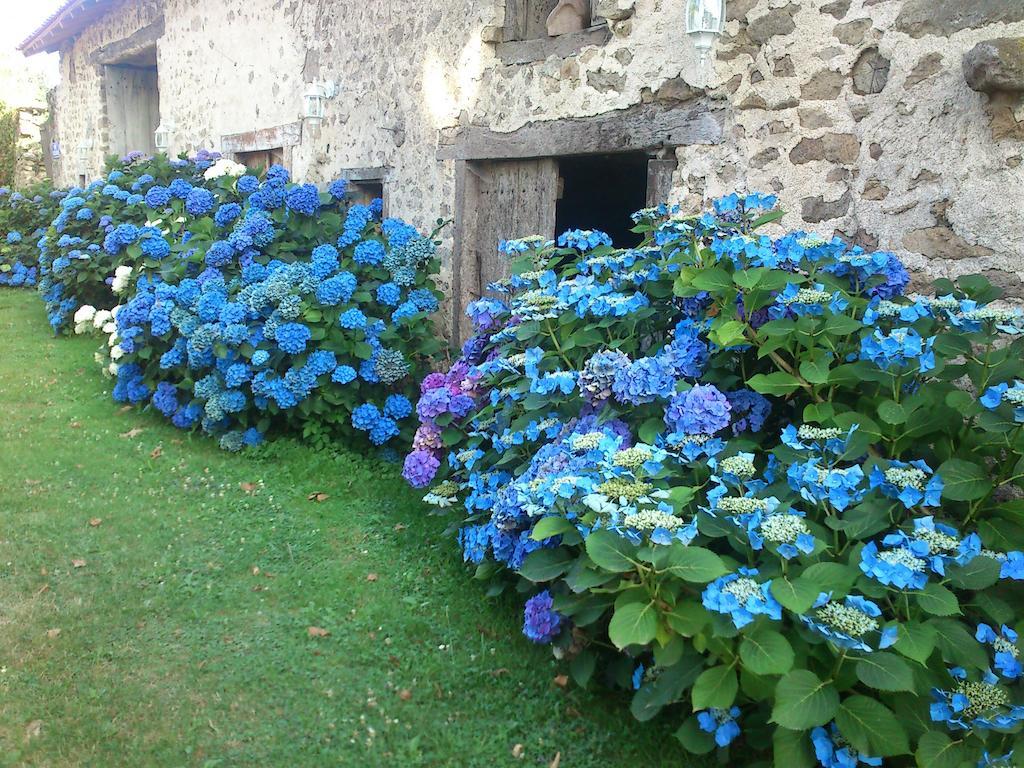 Berneuil  Le Domaine De Panissac Bed & Breakfast エクステリア 写真